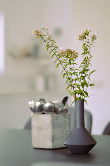 Agammaronikitchen